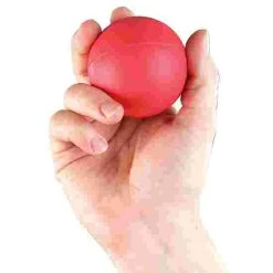 4.69 80-g Throwing Ball