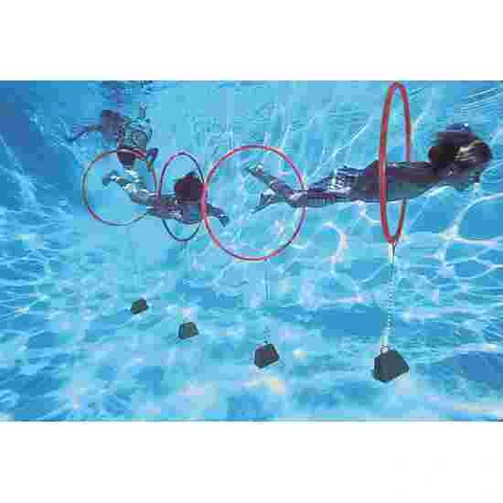 4.53 Sport-Thieme Diving Hoop Game 5 4.53 Sport-Thieme Diving Hoop Game - Image 3