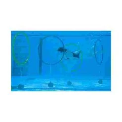 4.67 Weights For Diving Hoops