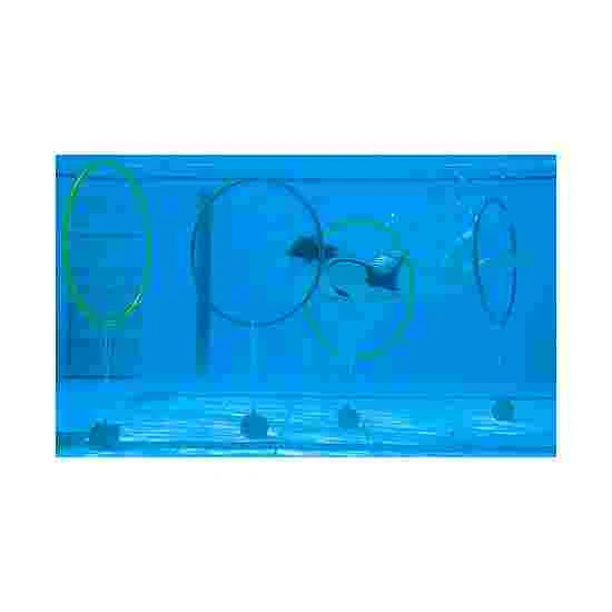 4.67 Weights For Diving Hoops 3 4.67 Weights For Diving Hoops