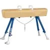 Sport-Thieme Pommel Horse 1 Sport-Thieme Pommel Horse -Sport-Thieme Shop 116 3706 5