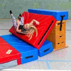 Reivo Multifunctional Mat 26 Reivo Multifunctional Mat -Sport-Thieme Shop 120 1909 9