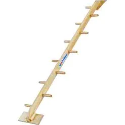 Sport-Thieme "Kombi" Half Ladder