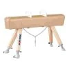 Sport-Thieme Pommel Horse 2 Sport-Thieme Pommel Horse -Sport-Thieme Shop 121 3603