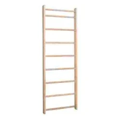 Sport-Thieme Single Wall Bars