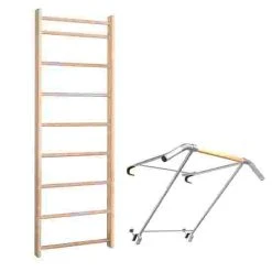 Sport-Thieme With "Premium" Pull-Up Bar Wall Bars