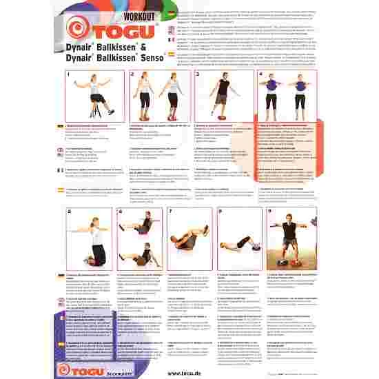 Togu Dynair Ballkissen "Senso 33 Cm" Ball Cushion 11 Togu Dynair Ballkissen "Senso 33 Cm" Ball Cushion - Image 9