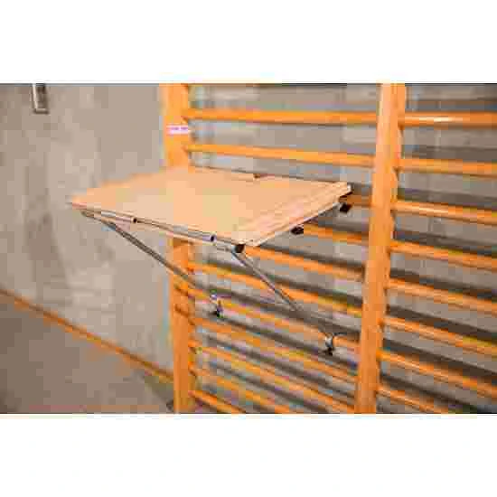 Sport-Thieme Slide Wall Bars Set 2 5 Sport-Thieme Slide Wall Bars Set 2 - Image 3