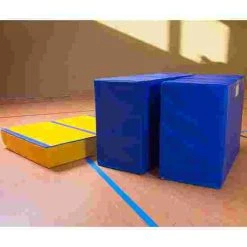 Reivo Rinogym Vaulting Table