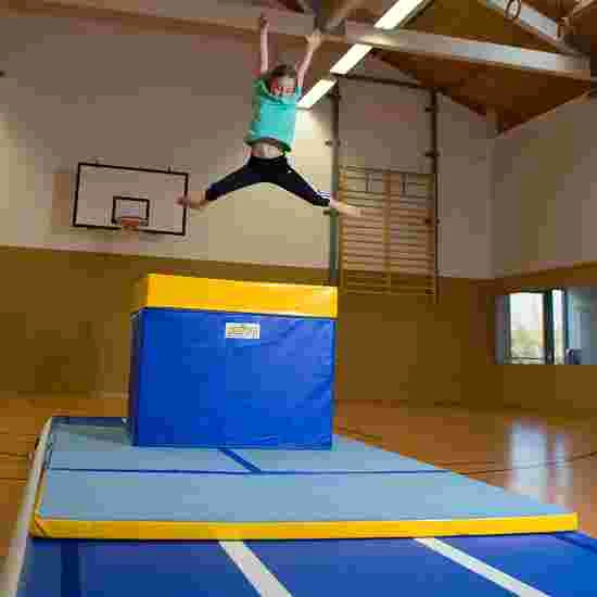 Reivo Rinogym Vaulting Table 6 Reivo Rinogym Vaulting Table - Image 4