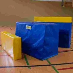 Reivo Rinogym Parallel Bars