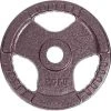 Sport-Thieme Competition Cast Iron Weight Disc -Sport-Thieme Shop 146 2311
