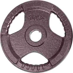 Sport-Thieme Competition Cast Iron Weight Disc -Sport-Thieme Shop 146 2337