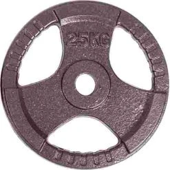 Sport-Thieme Competition Cast Iron Weight Disc -Sport-Thieme Shop 146 2366
