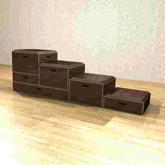 Sport-Thieme Combi Plyo Box Set 5 Sport-Thieme Combi Plyo Box Set - Image 3