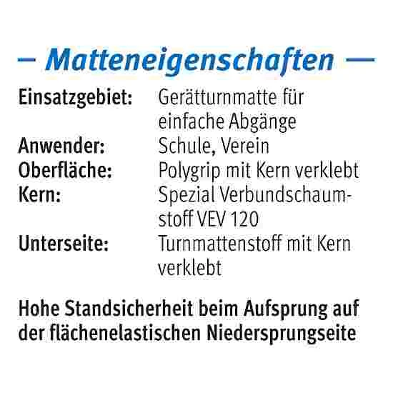 Sport-Thieme "GTM 3000" Apparatus Gymnastics Mat 11 Sport-Thieme "GTM 3000" Apparatus Gymnastics Mat - Image 9