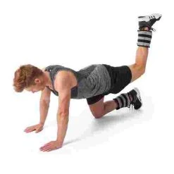 Sport-Thieme Weight Cuffs 27 Sport-Thieme Weight Cuffs -Sport-Thieme Shop 218 3608 9