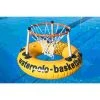 4.78 Water Basketball Basket With Ring -Sport-Thieme Shop 230 3606 1