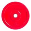 Sport-Thieme "Bumper Plate" Weight Disc, Coloured -Sport-Thieme Shop 235 4516