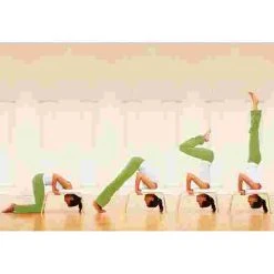 Feetup "Classic" Trainer 24 Feetup "Classic" Trainer -Sport-Thieme Shop 259 6802 2