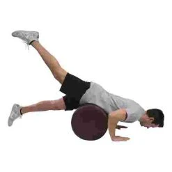 Sport-Thieme "Vita-Roll" -Sport-Thieme Shop 263 5301 3