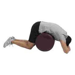 Sport-Thieme "Vita-Roll" -Sport-Thieme Shop 263 5301 5