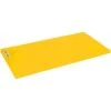 Sport-Thieme Children's Gymnastics Mat, 150x100x6 Cm 2 Sport-Thieme Children's Gymnastics Mat, 150x100x6 Cm -Sport-Thieme Shop 272 4108