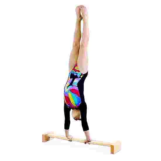 Spieth Handstand Bars 3 Spieth Handstand Bars