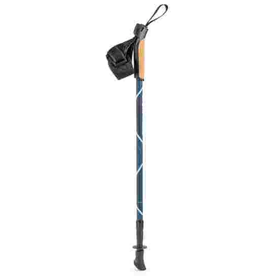 Sport-Thieme "Premium Track" Nordic Walking Poles Nordic Walking Poles 10 Sport-Thieme "Premium Track" Nordic Walking Poles Nordic Walking Poles - Image 8