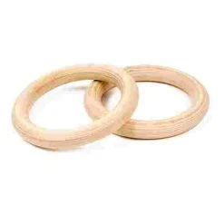 Sport-Thieme "Numbers" Indoor Gymnastics Rings -Sport-Thieme Shop 285 2300 3