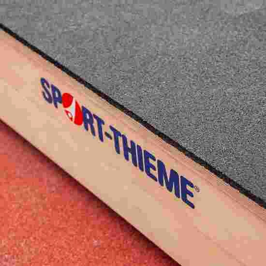Sport-Thieme "Jump" Jump Strength Trainer 6 Sport-Thieme "Jump" Jump Strength Trainer - Image 4