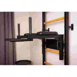 BenchK "713B" Fitness Wall Bars Wall Bars 25 BenchK "713B" Fitness Wall Bars Wall Bars -Sport-Thieme Shop 301 1401 7