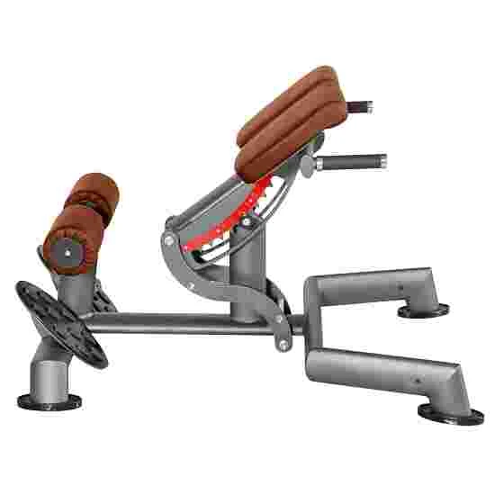 Sport-Thieme "OV" Back Extension Bench 3 Sport-Thieme "OV" Back Extension Bench