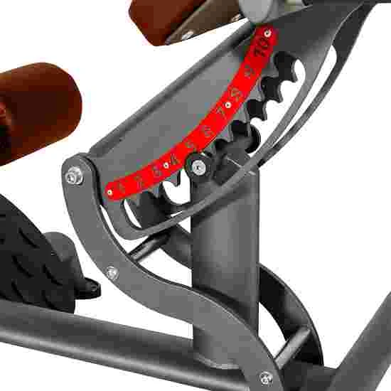 Sport-Thieme "OV" Back Extension Bench 4 Sport-Thieme "OV" Back Extension Bench - Image 2