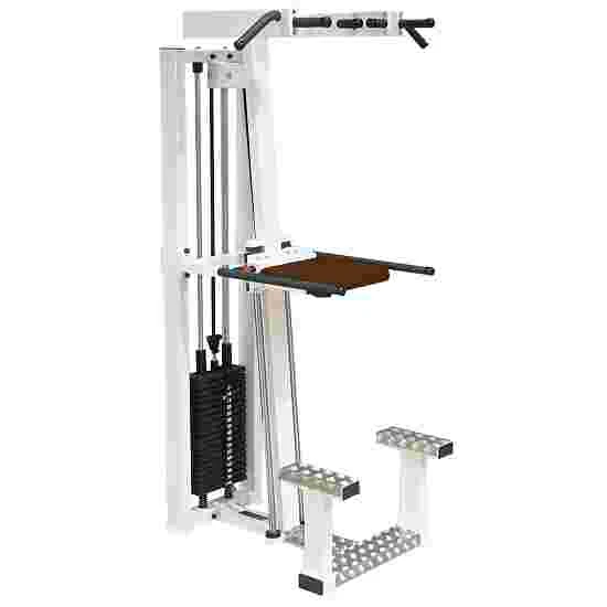 Sport-Thieme "SQ" Pull-Ups/Dips Machine 3 Sport-Thieme "SQ" Pull-Ups/Dips Machine