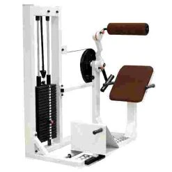 Sport-Thieme "SQ" Back Extension Machine