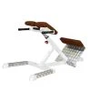 Sport-Thieme "SQ" Back Extension Bench -Sport-Thieme Shop 312 5306
