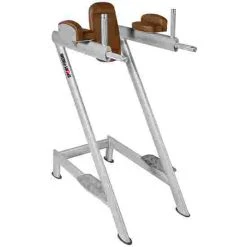 Sport-Thieme "OV" Leg Raise