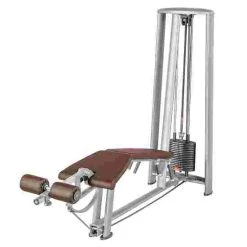 Sport-Thieme "OV" Leg Curl Machine -Sport-Thieme Shop 312 6413