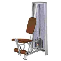 Sport-Thieme OV Leg Extension Machine