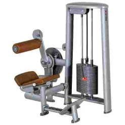 Sport-Thieme "OV" Back Extension Machine -Sport-Thieme Shop 312 8217