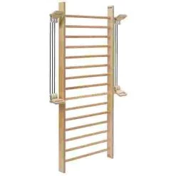 Sport-Thieme "Fit" Wall Bars 18 Sport-Thieme "Fit" Wall Bars -Sport-Thieme Shop 317 4601 4