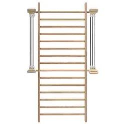 Sport-Thieme "Fit" Wall Bars 19 Sport-Thieme "Fit" Wall Bars -Sport-Thieme Shop 317 4601 5