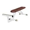 Sport-Thieme "SQ" Multipurpose Bench 1 Sport-Thieme "SQ" Multipurpose Bench -Sport-Thieme Shop 325 6800