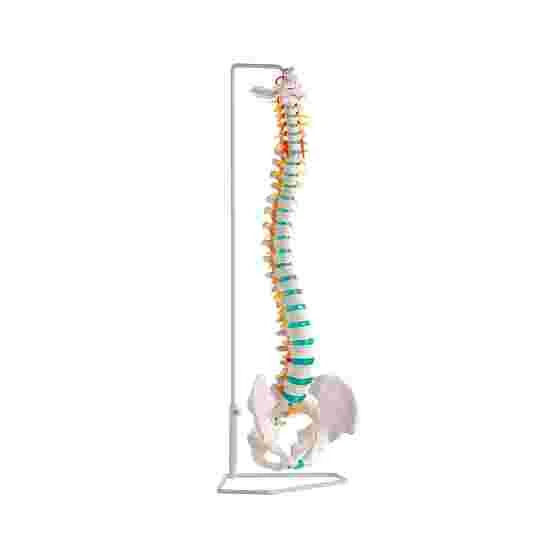 Erler Zimmer Flexible Spine 4 Erler Zimmer Flexible Spine - Image 2
