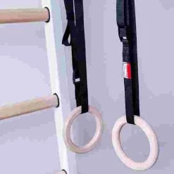 BenchK "413" Fitness Wall Bars 18 BenchK "413" Fitness Wall Bars -Sport-Thieme Shop 328 6409 7